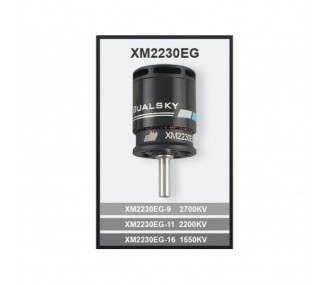 Dualsky XM2230EG-9 motor (42g, 2700kV, 296W)