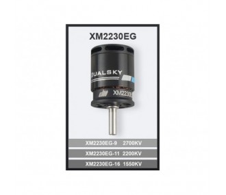 Dualsky XM2230EG-11 motor (42g, 2200kV, 252W)