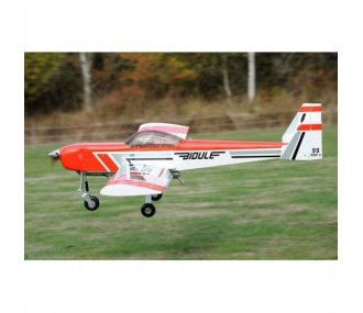 Aircraft Ecotop Bidule 55 V3 ARF approx.2.46m