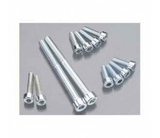 Screw set DLE 20