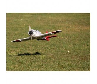 Multiplex Racewulf RR approx.95cm