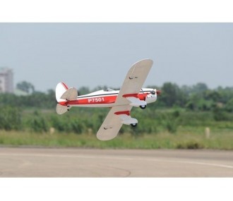 Avion Phoenix Model Ryan STA GP/EP ARF 1.80m