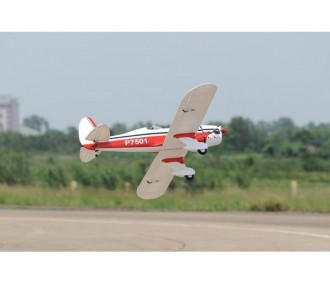 Phoenix Model Ryan STA GP/EP ARF 1.80m