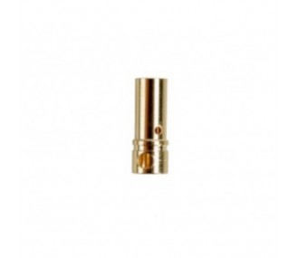 Gold PK 3.5mm female plug - Yuki Model