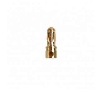 PK 3.5mm male gold plug - Yuki Model