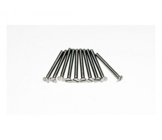 TF Stainless steel screws M2x6 (10 pieces) A2PRO