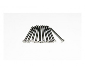 TF Stainless steel screws M2x10 (10 pieces) A2PRO