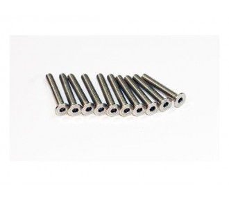 Screw BTR TF Stainless steel M3x25 (10 pieces) A2PRO
