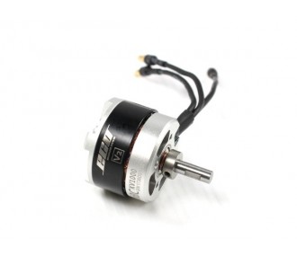 Dualsky Eco 2808C V2 motor (75g, 1000kv, 300W)