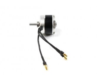 Moteur Dualsky Eco 2808C V2 (75g, 1000kv, 300W)