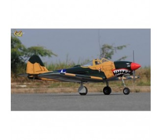 Aereo VQ Modello P-39 Airacobra 1.58m sumer camo