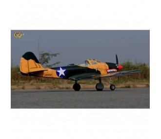 Aereo VQ Modello P-39 Airacobra 1.58m sumer camo