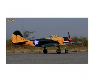 Aircraft VQ Model P-39 Airacobra 1.58m sumer camo