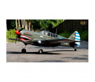 Aeromobile VQ Modello P-40 Kitty Hawk 1.57m