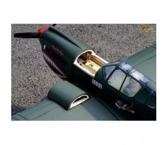 Aeromobile VQ Modello P-40 Kitty Hawk 1.57m