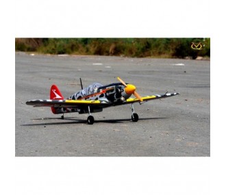 Aircraft VQ Model Kawasaki HIEN 1.57m