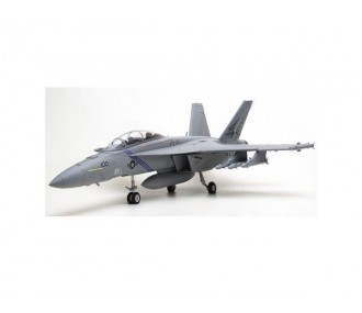 Jet Rochobby F/A-18F super hornet EDF PNP ca.0.70m