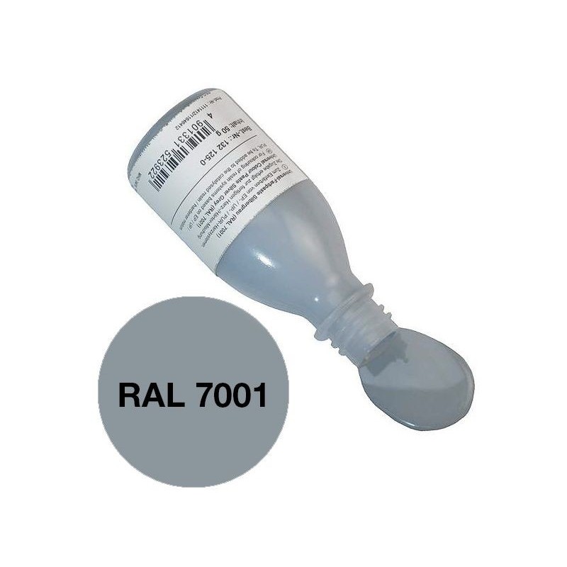 Pâte époxy colorante gris (RAL 7001) 50g R&G