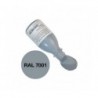 Farbige Epoxidpaste Grau (RAL 7001) 50g R&G