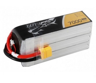 Batterie Tattu lipo 6S 22.2V 7000mAh 25/50C prise xt90