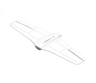 White Funracer wing set without Multiplex Servos