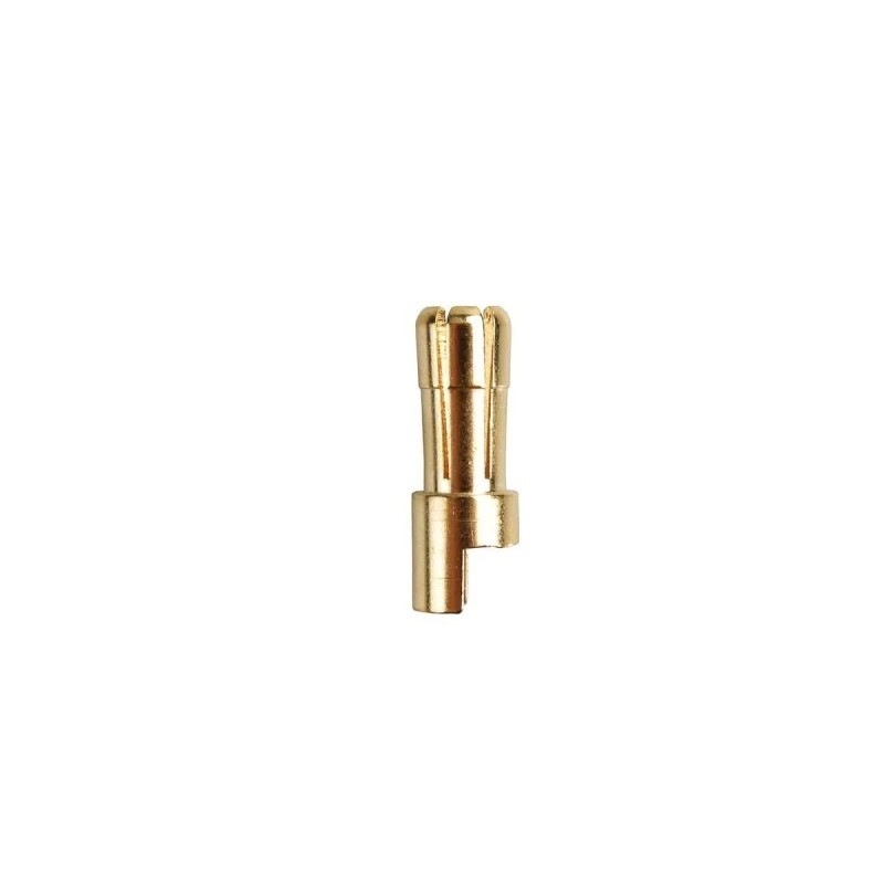 Gold Socket PK 5.5mm male (1 pc) - AMASS
