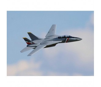 E-flite F-14 Tomcat Twin 40mm EDF BNF Basic AS3X / Safe Select Jet aprox.0.76m