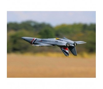 E-flite F-14 Tomcat Twin 40mm EDF BNF Basic AS3X / Safe Select Jet aprox.0.76m