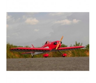 Fly Baby 50 EP / GP ( Rosso ) 1,6 metri di apertura alare