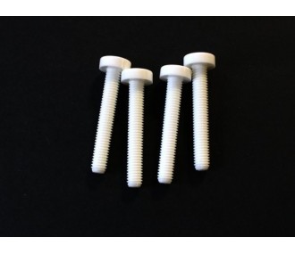 Vis nylon fente intégrée M6x40mm MP JET (4 pcs)