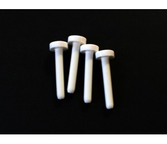 Vis nylon fente intégrée M5x30mm MP JET (4 pcs)