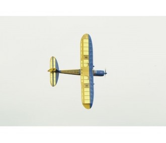 Phoenix Model Rainbow EP 1,60m