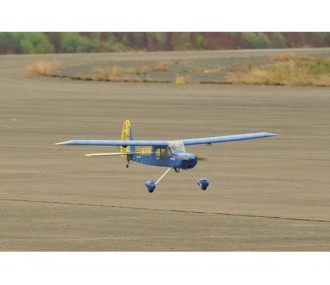 Phoenix Model Rainbow EP 1,60m