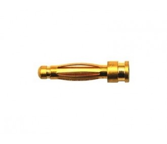 Gold plug PK 2.0mm male (tulip) Muldental