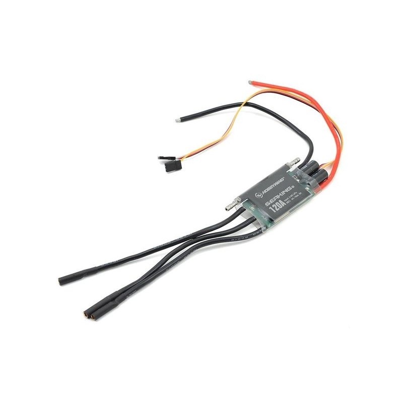 Hobbywing SeaKing PRO 120A Brushless Controller Boot