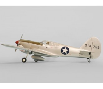 Flugzeug Phoenix Model P40 Kitty Hawk .91-15CC GP/EP ARF 1.61m