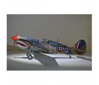 Avion Phoenix Model P40 Warhawk 30-35cc GP/EP ARF 2.04m