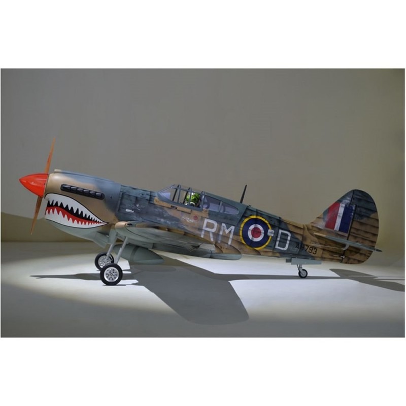 Avion Phoenix Model P40 Warhawk 30-35cc GP/EP ARF 2.04m