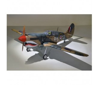 Flugzeug Phoenix Model P40 Warhawk 30-35cc GP/EP ARF 2.04m