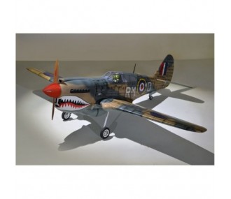 Phoenix Model P40 Warhawk 30-35cc GP/EP ARF 2.04m