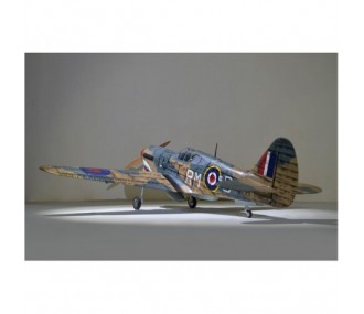 Avion Phoenix Model P40 Warhawk 30-35cc GP/EP ARF 2.04m