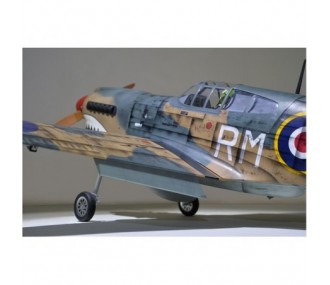 Avion Phoenix Model P40 Warhawk 30-35cc GP/EP ARF 2.04m