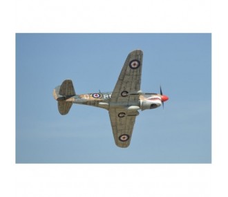 Avion Phoenix Model P40 Warhawk 30-35cc GP/EP ARF 2.04m