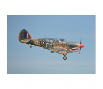 Flugzeug Phoenix Model P40 Warhawk 30-35cc GP/EP ARF 2.04m