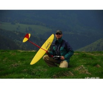 Sunbird Full Carbon env.1.50m blanc & rouge RCRCM