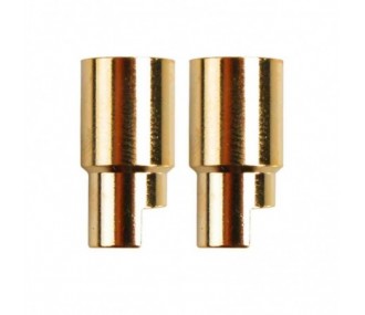 Conector hembra PK dorado de 6,0 mm (x2)