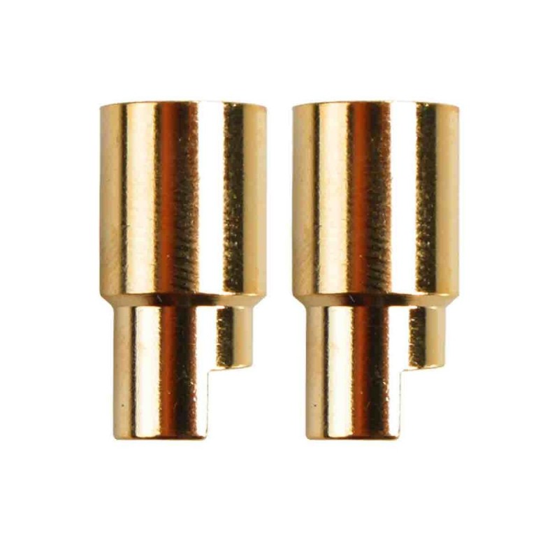 Gold PK 6.0 mm female plug (x2)
