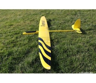 E-Tomcat Full Carbon 2.60m gelb & schwarz RCRCM