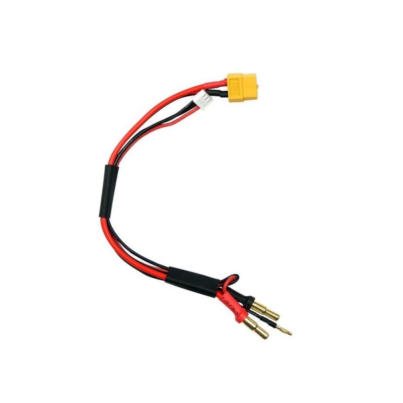 Câble de charge XT60 (XH) vers Lipo voiture 2S avec 4mm ou 5mm doré