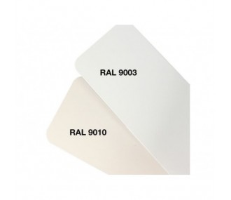 Pâte époxy colorante blanc signal (RAL 9003) 50g R&G